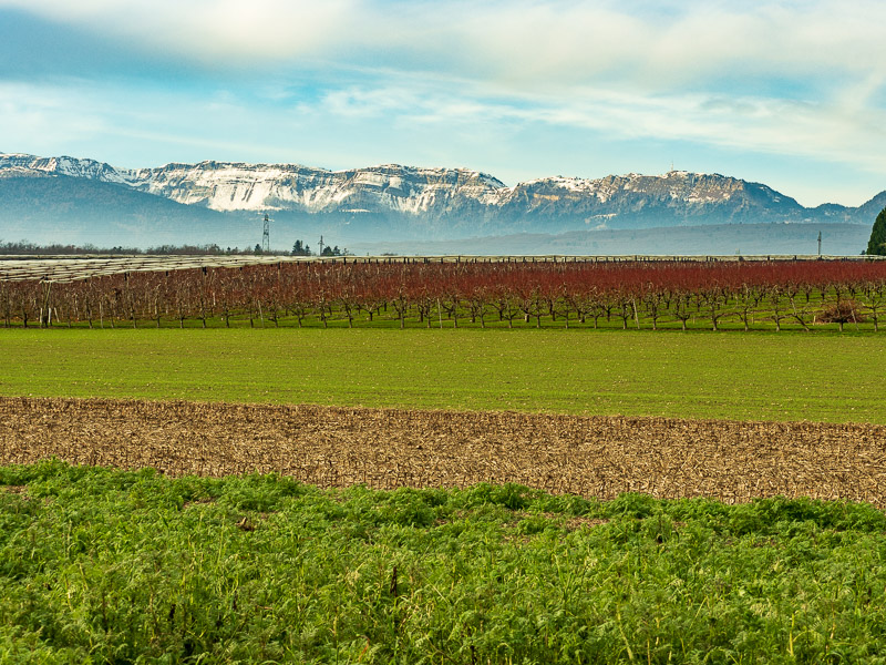 jura mountains house sitting heidi travel is sweet